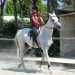 Una ragazza, che indossa un casco protettivo e gli stivali, si prepara all'allenamento a cavallo